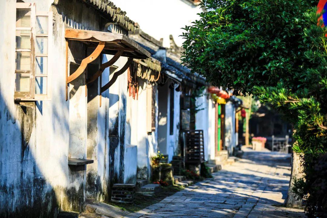 辣子鸡丁怎样做?红迪网平台-分享、交流、探讨辣子鸡丁怎样做?话题